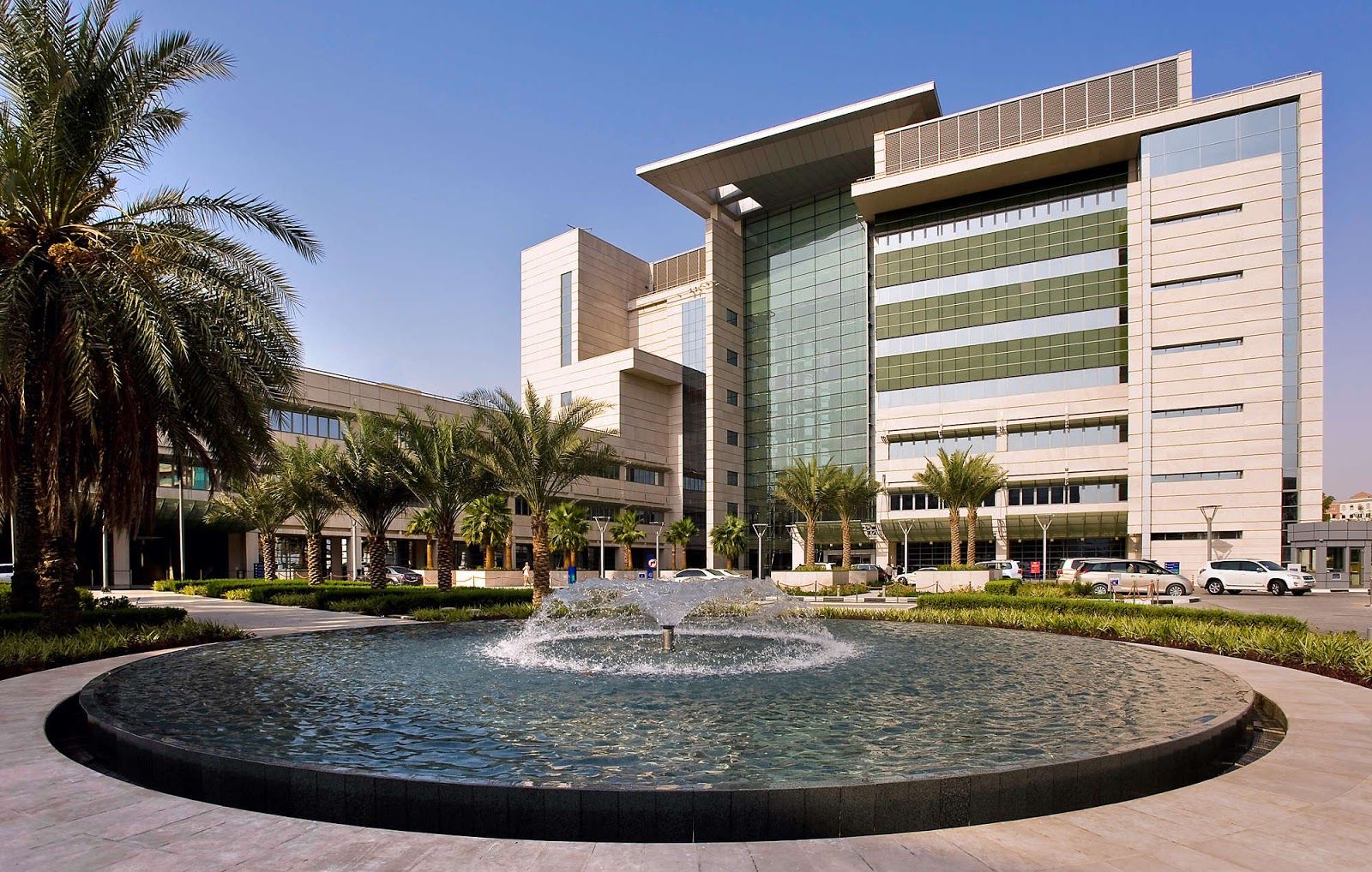 American Hospital Dubai detail 1