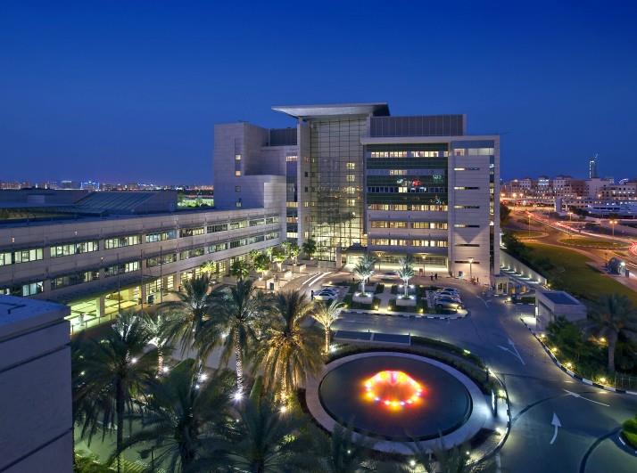 American Hospital Dubai detail 3