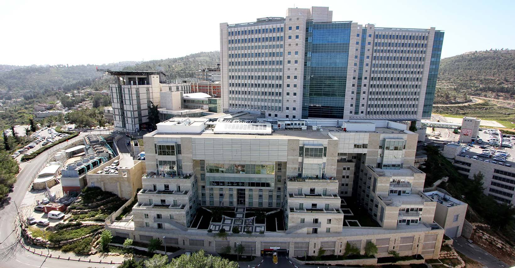 Hadassah Medical Center detail 1