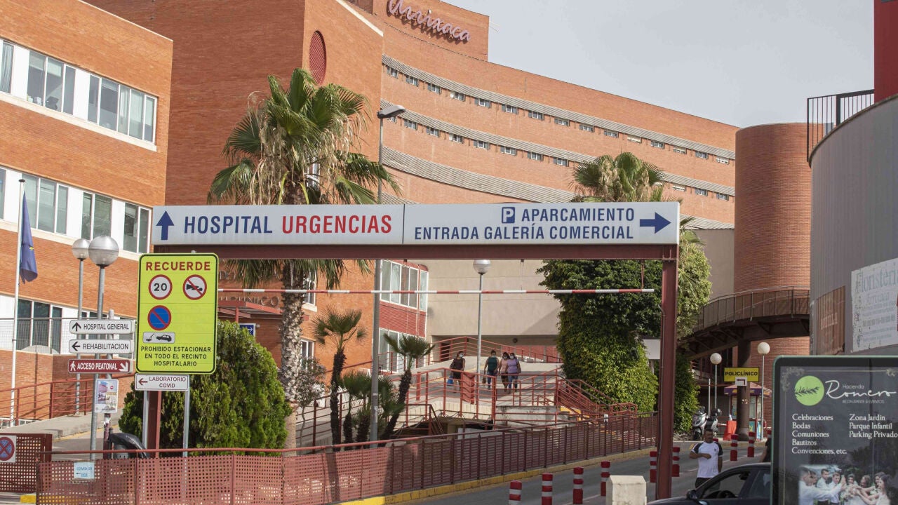 Hospital Molina De Segura Murcia detail 3