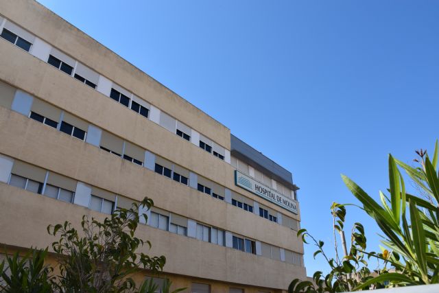 Hospital Molina De Segura Murcia detail 4
