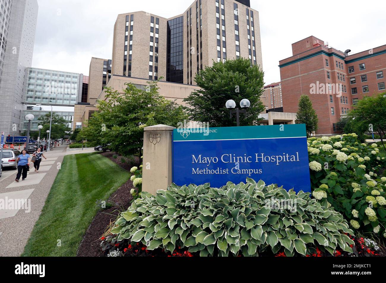 Mayo Clinic detail 1