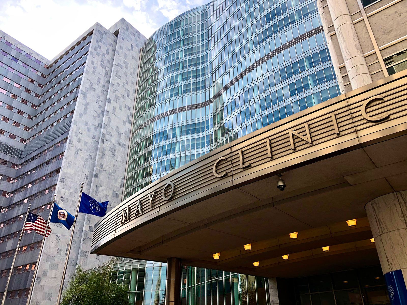 Mayo Clinic detail 3