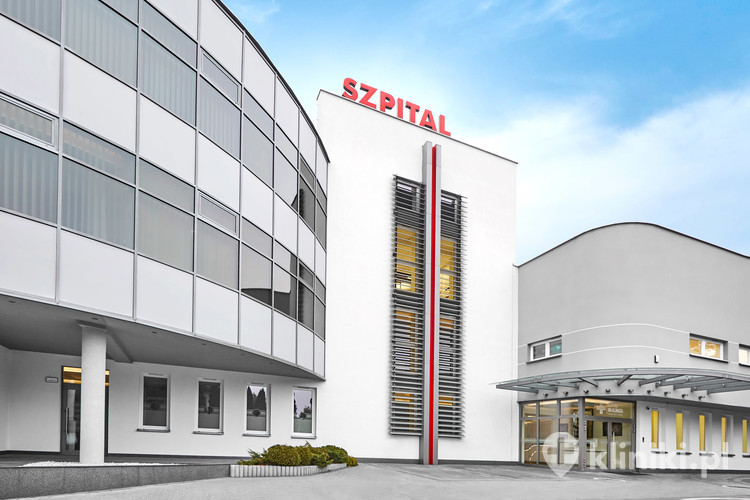Szpital na Klinach detail 1